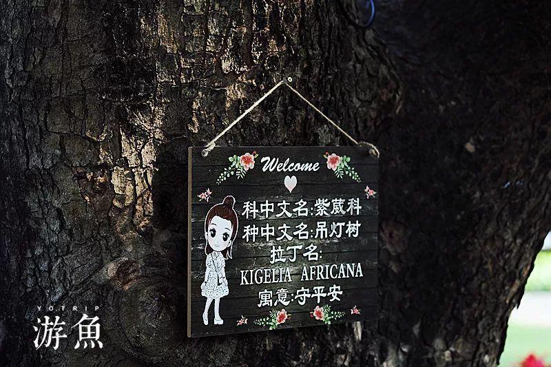 迷失在黑洞里